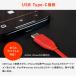 �C���z�� JBL �������� TUNE 305C �n�C���]�F��  96 kHz 24 bits �L�� USB�^�C�vC �}�C�N���� �}�C�N�t��  �X�}�z iPhone15 iPad �p�\�R�� �ʘb �����[�g��c �֘A�摜4