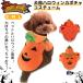  Halloween костюм костюмированная игра одежда тыква тыква собака одежда тыква лучший собака одежда становится ..mo Como ko Halo we n маскарадный костюм костюмированная игра 