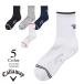  Callaway Golf короткие носки c25293204(FREE: женский ) Callaway Callaway 2025 осень-зима почтовая доставка 
