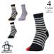  Munsingwear одежда Golf средний длина 5 пальцев носки mg6fso06l(22-24cm: женский ) Munsingwear одежда Munsingwear 2026 новый продукт почтовая доставка 