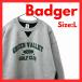 Badger Sport GREEN VALLEY GOLF CLUB тренировочный серый Golf переключатель б/у одежда L