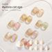 la low na[ LALONA ] Aurora кошка I гель ( L01 ) гель ногти / ногти / собственный / магнит гель / магнит ногти / Корея ногти 
