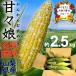  Father's day corn ........ region brand Yamanashi prefecture production 2.5kg 5~7 pcs insertion .L~LL size free shipping raw meal maize Ichikawa Misato block .. festival 