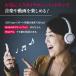 type-c �ϊ� �A�_�v�^ �C���z�� �W���b�N iPhone iPad �^�C�vc DAC typec usb �֘A�摜3