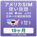  America SIM card 19 months [ data limitless ] month / 10GB till high speed telephone call ... Hawaii contains studying abroad travel business trip for plipeidoSIM T-mobile circuit 