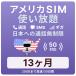  America SIM card 13 months [ data limitless ] month /20GB till high speed telephone call ... Hawaii contains studying abroad travel business trip for plipeidoSIM T-mobile circuit 