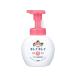 LION キレイキレイ薬用泡ハンドソープ フルーツミックス ポンプ 250mL