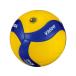 �y�����񂹁z�~�J�T ���ی��F�� ���苅 5�� �u���[�^�C�G���[ V300W