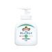 ライオン キレイキレイ薬用ハンドソープ本体 250ｍｌ