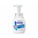 KAO ビオレガード薬用泡ハンドソープ無香料 ポンプ 250mL