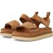 ()  ǥ ǥ󥹥 UGG women Goldenstar Chestnut