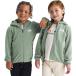 ( посылать за ) North Face to гонг - серый автомобиль - полный - Zip b-ti-to гонг -The