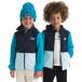 ( посылать за ) North Face to гонг - серый автомобиль - полный - Zip b-ti-to гонг -The