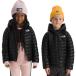 ( посылать за ) North Face to гонг - Thermo мяч f-teto жакет -to гонг -