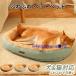 �L �x�b�h �� �x�b�h ��^�� ���^�� ���������� �H �~ �ӂ�ӂ� �y�b�g�x�b�h ���^�� �����̂� �ې� �􂦂� �~�^ �I�[���V�[�Y�� �\�t�@�[