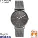  новый товар * стандартный товар SKAGEN/ Skagen SIGNATUR мужской кварц аналог 3 стрелки нержавеющая сталь серый сетка ремень 3 атмосферное давление водонепроницаемый SKW6577