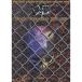  Kuroyume / одиночный * коллекция 1994~1998 ( частота * оценка )