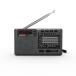 XHDATA D368 портативный короткие волны радио FM AM SW 12 частота DSP стерео радио MP3 плеер беспроводной высота чувство 