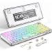 MAMBASNAKE K75ᥫ˥륭ܡɥ饹ۥåȥåץBluetooth /2.4G/USB-C³3⡼ GSKET
