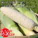 .. вдоволь ... фрукты Hyogo префектура . лошадь производство сырой шелк кукуруза 8~10 шт. входит ×2 коробка ( всего 16~20шт.@) белый кукуруза свежий .. кукуруза . средний изначальный подарок на Bon Festival 