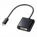 掠ץ饤USB Type C-DVIѴץAD-ALCDV