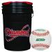  diamond 6 gallon bucket diamond DOL-1 HS NFHS leather ball 30 piece 