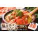  Fukui salmon выбивалка 