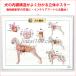 �u ���̑���v���̃|�X�^�[ B2�T�C�Y �����w�E�I�[�������[�t�A�[�g �֘A�摜3