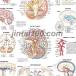 �u�q�g�̔]�v ��w�|�X�^�[ �|�X�^�[B2�T�C�Y  �l�̉�U�w�}�|�X�^�[ ��w�`���[�g �@ �֘A�摜1