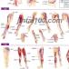 �u�g���K�[�|�C���g�i���z���Ǝl���j�v��w�|�X�^�[ �|�X�^�[B3�T�C�Y  �l�̉�U�w�}�|�X�^�[ ��w�`���[�g �֘A�摜1