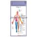 [ Dell mato-m( skin feeling obi )] clipboard pocket size human body anatomy map medicine chart 
