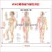 �u�I���o���o���}�v��w�|�X�^�[ �|�X�^�[ B2�T�C�Y  ���m��w�|�X�^�[ ��w�`���[�g �֘A�摜4