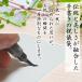 �j�V�� �䌋�� ��j �j���� ���[�� ��M���� 3����10���~�ɍœK ����s���i �������j�� �o�Y�j�� �̂��� v100-11 m40-24 07-64 ��4011-3 �֘A�摜1