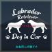  Rav Rado ruretoli балка 2 голова . много голова . стикер такой же один собака вид Silhouette DOGinCAR собака наклейка машина домашнее животное 