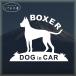  Boxer do Guin машина собака наклейка машина домашнее животное 