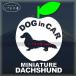  миниатюра Dux fndo длинное пальто симпатичный яблоко. стикер do Guin машина собака наклейка машина 