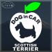  Scottish терьер Scotty симпатичный яблоко. стикер do Guin машина собака наклейка машина 