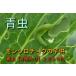  blue insect mon white chou. larva school teaching material school teaching material mon white chou. larva 