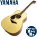 ƥå 鿴 եȥϥ ޥ  YAMAHA FG820L ǥ ()