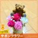 �\�[�v�t�����[ �T�{���t�����[ �ԑ� �M�t�g �u���E�� �x�A �p�b�V�����s���N 5�{ ���� �N�} �F �a���� ���j�� ���� ���� ���� ���w ���� ���Ԃ� �v���[���g