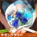 �\�[�v�t�����[ �T�{���t�����[ �M�t�g �ԑ� �V���[�g �u�[�P �u���[ 7�{ �o�� ���蕨 ���� ���� ���� ���w ���\�� �a���� ���j ���Ԃ� �~�j �v�` �v���[���g �֘A�摜2