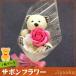 �\�[�v�t�����[ �T�{���t�����[ �M�t�g �ԑ� �N�} �u�[�P �s���N 1�� ���� ���� ���� ���w ���\�� �L�O�i �a���� ���蕨 ���j�� ���Ԃ� ���� �v���[���g �x�A �F