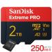  микро sd карта microSDXC 2TB SanDisk V30 A2 R:250MB/s W:150MB/s UHS-I U3 SDSQXCD-2T00-GN6MA параллель импортные товары на следующий день доставка экспресс доставка на дом рассылка 