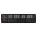 KORG( Korg ) MIDI клавиатура nanoKEY2 DTM/25 клавиатура / compact / контроллер /USB/ автобус энергия / программное обеспечение la Ise n