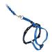 PetSafe( домашнее животное safe ) легкий walk кошка для Harness & банджи Lead прогулка для .. трудно безопасность проект [ королевский синий M размер ]