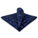SHLAX&amp;WINGb лупа iz Lee узор мужской pocket square шелк бизнес .. синий 