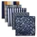 (silaks. Wing ) Shlax&amp;Wing мужской pocket square 5 шт. комплект бизнес .. шелк 