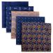 (silaks. Wing ) Shlax&amp;Wing полоса мужской pocket square 5 шт. комплект бизнес .. шелк 