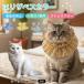 ta-kishu van кошка van ветеринарный воротник кошка soft мягкий легкий текстильный размер регулировка царапина . защита . после уход .... уход 