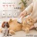 kya шероховатость a King Charles spaniel собака выпадение шерсть щетка собака кошка выпадение шерсть брать . выпадение шерсть удаление домашнее животное щетка длина шерсть короткий шерсть груминг 